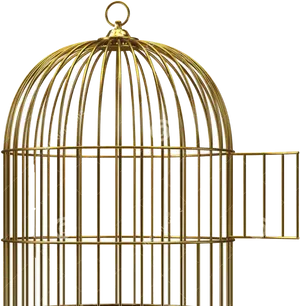 Golden Birdcage Empty PNG Image