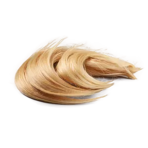 Golden Blond Hair Png Uur34 PNG Image