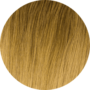 Dirty Blonde Hair Png, Transparent Png PNG image with transparent background