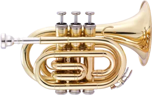 Golden Brass Trumpet PNG Image