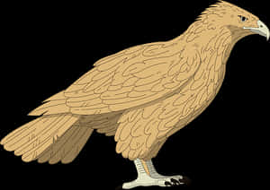 Golden Brown Falcon Illustration PNG image with transparent background