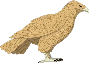 Golden Brown Falcon Illustration PNG Image