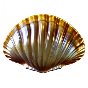 Golden Clam Shell Png Ada76 PNG Image