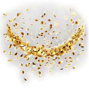 Golden Confetti PNG lbx42 PNG image with transparent background