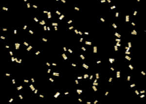 Clip Art Png For Free - Gold Confetti Transparent Background, Png Download PNG