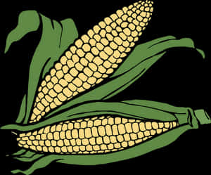 Golden Corn Cobs Illustration PNG image with transparent background