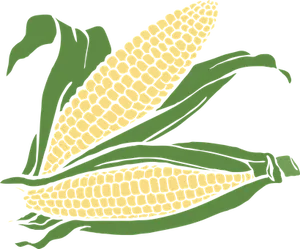 Golden Corn Cobs Illustration PNG Image