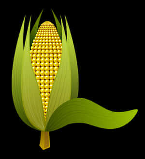 Golden Corn Illustration PNG image with transparent background