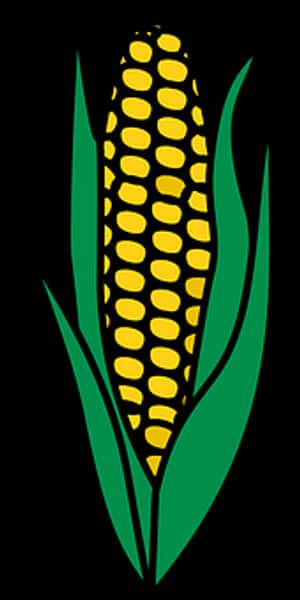 Golden Corn Illustration PNG image with transparent background