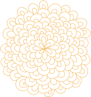 Pix For Flower Outline Png - Circle, Transparent Png PNG image with transparent background