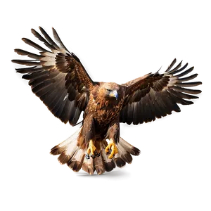 Golden Eagle In Dynamic Pose Png Gwx PNG Image