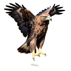 Golden Eagle In Majestic Pose Png 13 PNG Image