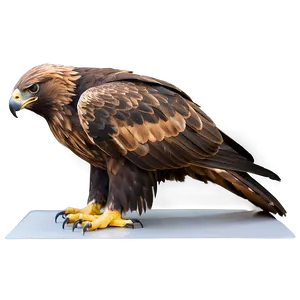 Golden Eagle Side View Png 06202024 PNG Image