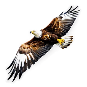 Golden Eagle Side View Png 6 PNG Image