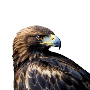 Golden Eagle With Prey Png Yew71 PNG Image