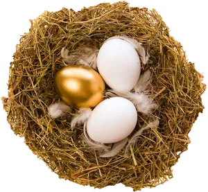 Golden Eggin Nest.jpg PNG Image