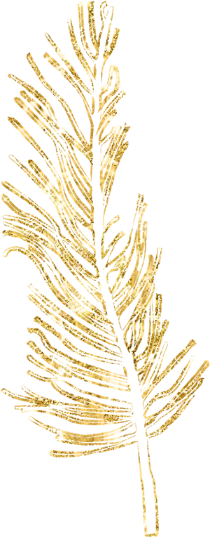 Golden Feather Artwork PNG Image