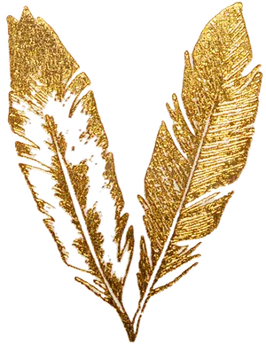 Golden Feather Artwork PNG Image