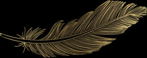 Feather Png Download Image - Gold Transparent Feather Png, Png Download PNG image with transparent background