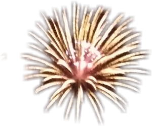 Golden Firework Explosion Night Sky PNG Image