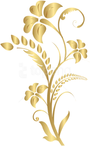 Golden Floral Designon Black PNG Image