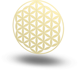 Golden Flowerof Life Geometric Pattern PNG image with transparent background