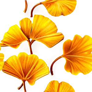 Golden Ginkgo Leaves Png Fow PNG Image