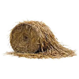 Golden Hay Sunset Png Gkc39 PNG Image