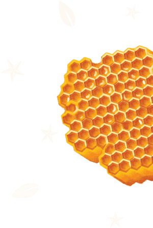 Honeycomb, HD Png Download PNG image with transparent background