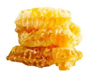 Golden Honeycomb Pieces PNG image with transparent background