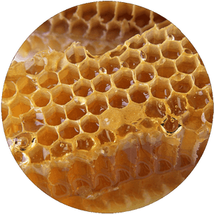 Honeycomb , Png Download - Honeycomb, Transparent Png PNG with transparent background