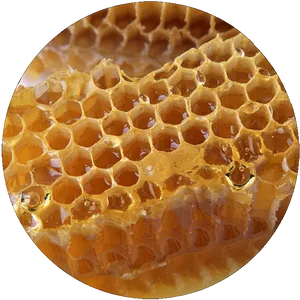 Golden Honeycomb Texture PNG Image