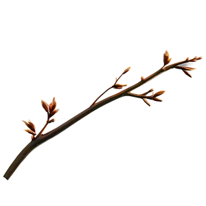 Golden Hour Twig Png 06132024 PNG Image