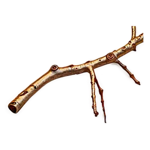 Golden Hour Twig Png Hkq34 PNG Image