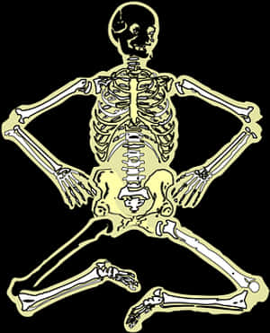 Golden Human Skeleton Illustration PNG image with transparent background