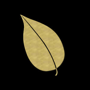 Golden Leafon Black Background PNG image with transparent background