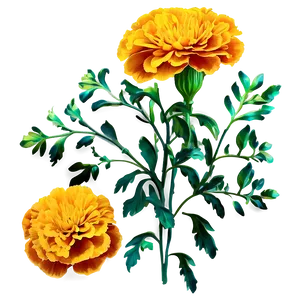 Golden Marigolds Bouquet Png Rio24 PNG Image