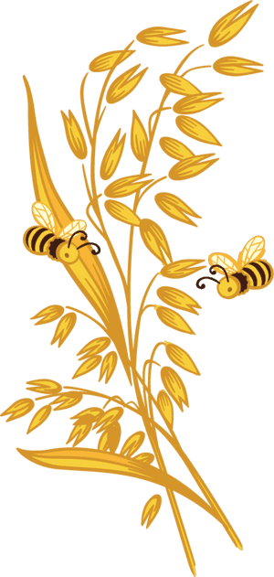 Oatmeal Clipart Thing - Clip Art Of Oats, HD Png Download PNG with transparent background