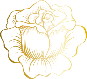 Golden Outlined Flower Illustration PNG Image