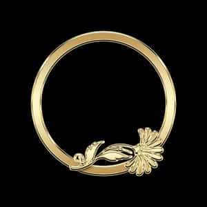 Golden PNG PNG Images