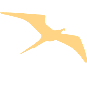 Golden Pterodactyl Silhouette PNG image with transparent background