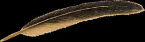 Download Feather Png Image - Old Feather Pen Png, Transparent Png PNG image with transparent background