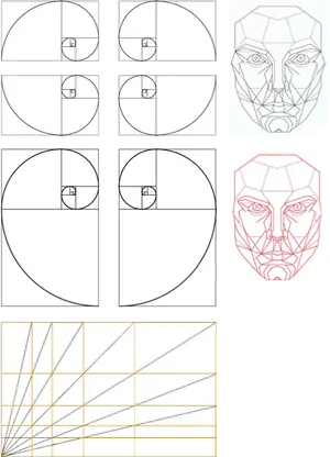 Golden Ratio Facial Geometry Illustration PNG Image