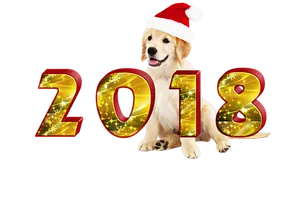 Golden Retriever Celebrates2018 New Year PNG Image