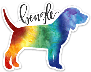 Golden Retriever, HD Png Download PNG image with transparent background