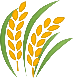 Sheaf Of Rice Icon - Transparent Rice Icon, HD Png Download PNG with transparent background