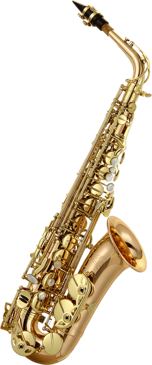 Alto Saxophone Information - Alto Saxophone Clipart, HD Png Download PNG