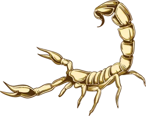 Golden Scorpion Illustration PNG Image