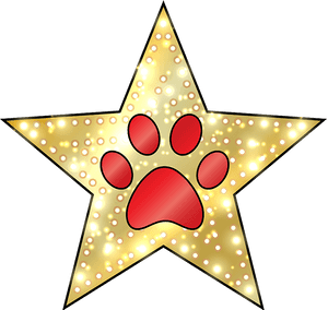 Golden Star Paw Print PNG image with transparent background