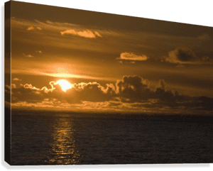 Golden Sunset Over Ocean PNG image with transparent background